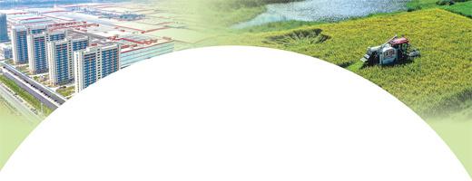 股联社 找准路子 干出样子（前沿观察·挑大梁 看担当）