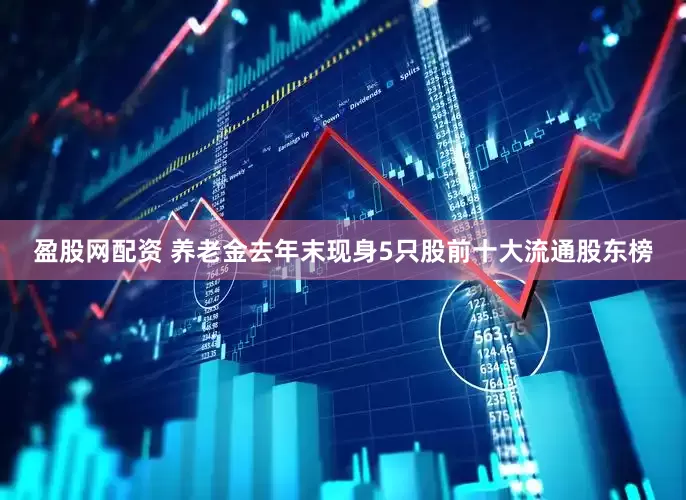 盈股网配资 养老金去年末现身5只股前十大流通股东榜