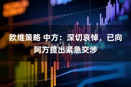 欧维策略 中方：深切哀悼，已向阿方提出紧急交涉